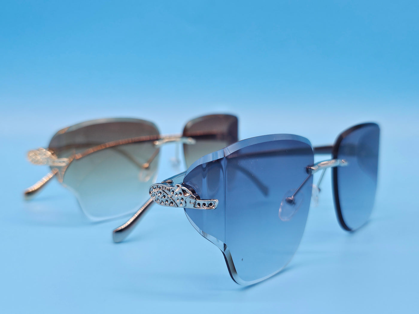 Fashionable Sunglasses