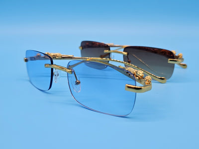 Luxury Style Sunglasses
