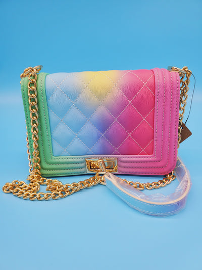 Womens Multi Colors Handbag